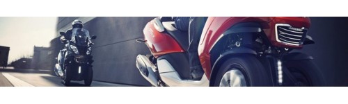 Scooter exclusif